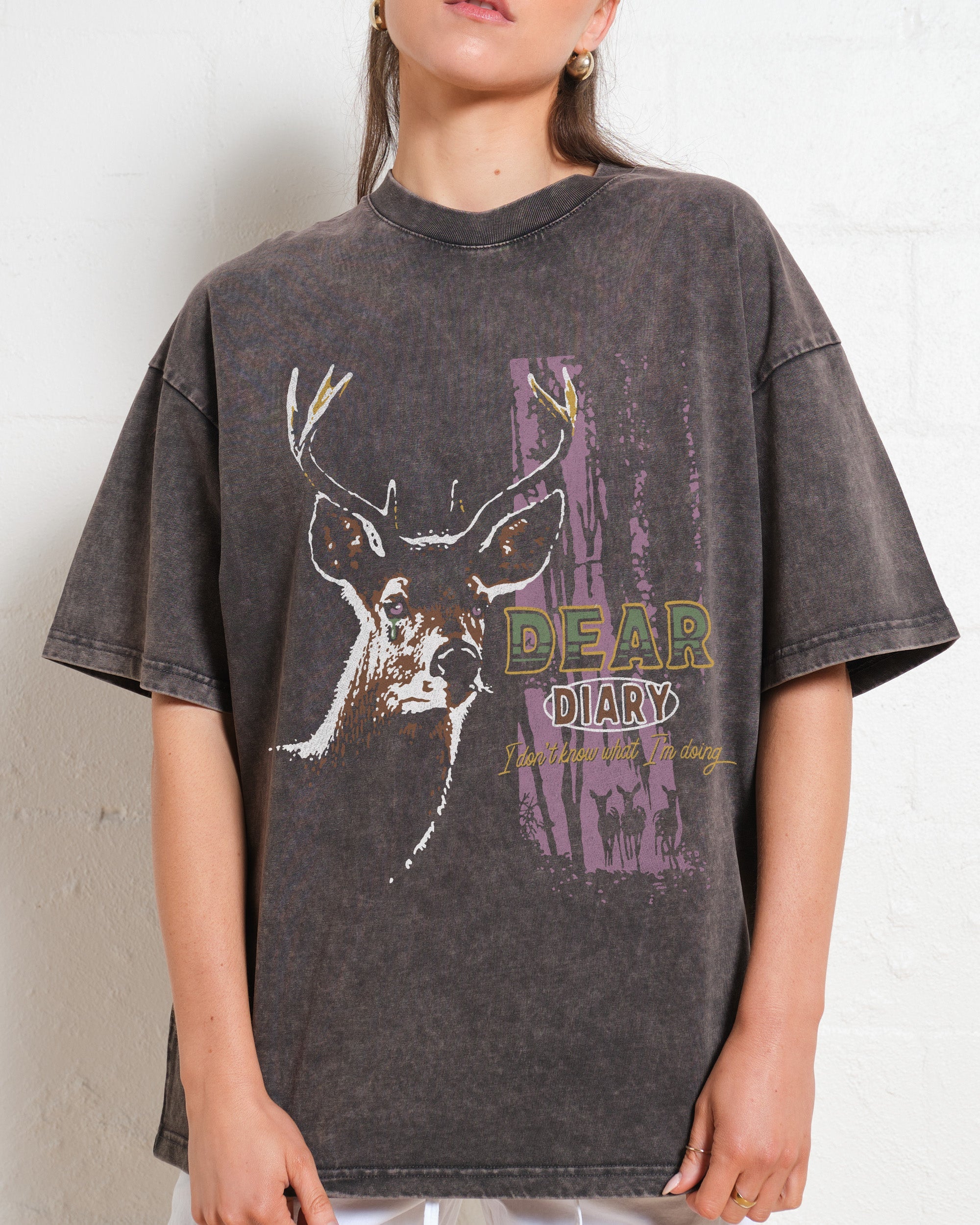 Dear Diary Oversized Tee